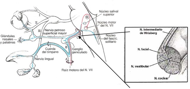 esquema2